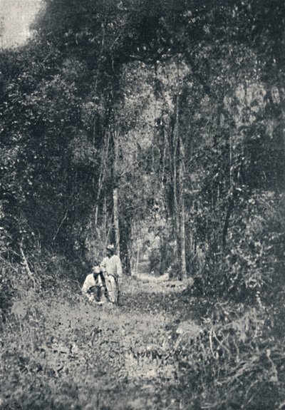 ハイパラナロード、1895 作： Francisco Henszler