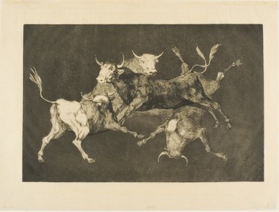 Fool’s Folly (Disparates より) 作： Francisco Jose de Goya y Lucientes