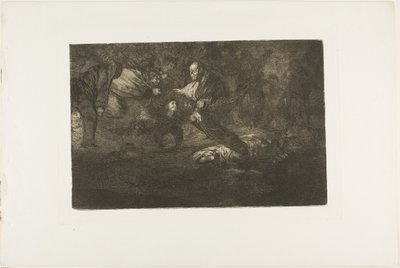 神がそれらを創造し、それらが結合する、『ロス プロバービオス』のプレート 18 作： Francisco Jose de Goya y Lucientes