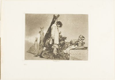 この場合ではありません。The Disasters of War のプレート 36 作： Francisco Jose de Goya y Lucientes