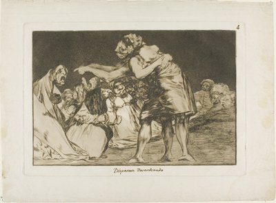病気の彼女はそう言うチャンスを決して逃さない、『ロス プロバービオス』のプレート 7 作： Francisco Jose de Goya y Lucientes