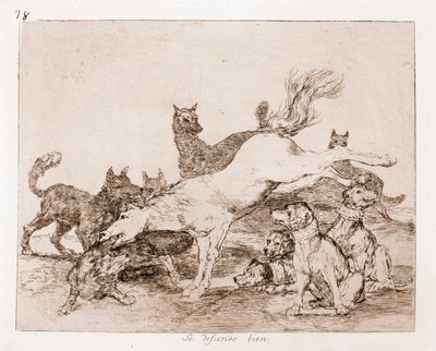 The Disasters of War : He defends well (Etching from preparatory drawing) 作： Francisco de Goya