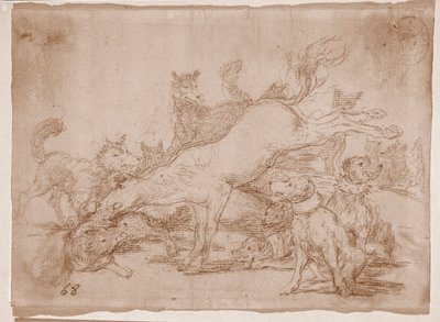 The Disasters of War : He defends well (preparation drawing) 作： Francisco de Goya