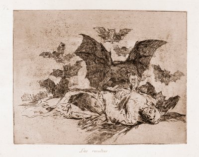 The Disasters of War : The results （下絵からのエッチング 作： Francisco de Goya