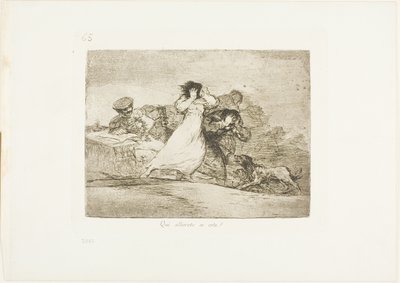What is this Hubbub?、The Disasters of War のプレート 65 作： Francisco Jose de Goya y Lucientes