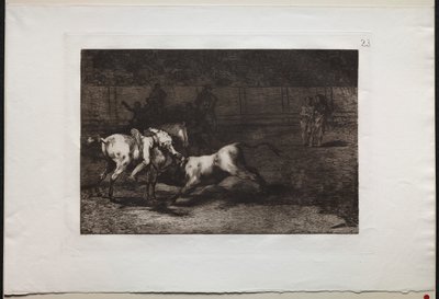 闘牛: マリアーノ・セバージョス、エイリアス・ザ・インディアン、彼の馬から雄牛を殺す 作： Francisco de Goya