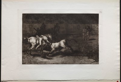 闘牛：マリアーノセバロス、インディアンのエイリアス、1876年に彼の馬から雄牛を殺す。 作： Francisco de Goya