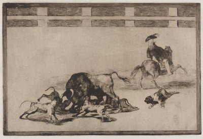 闘牛: 彼らは雄牛に犬を放します 作： Francisco de Goya