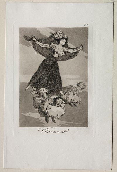 カプリコス：彼らは飛んできた。 作： Francisco de Goya