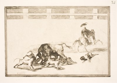 彼らは牛の上で犬を磨く 作： Francisco de Goya