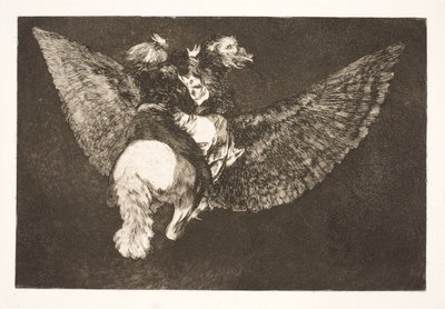 The Flying Folly (翼の下にあなたを隠し、くちばしであなたを噛む友人をあきらめてください) 作： Francisco de Goya