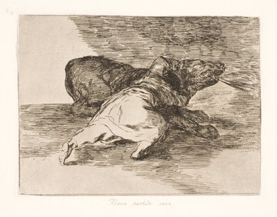 それはそれから何かを得ます！ (40) 作： Francisco de Goya