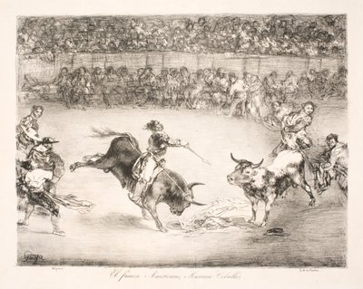 「有名なアメリカ人、マリアーノ・セバージョス」 作： Francisco de Goya
