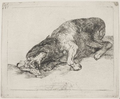 野生のモンスター (81) 作： Francisco de Goya