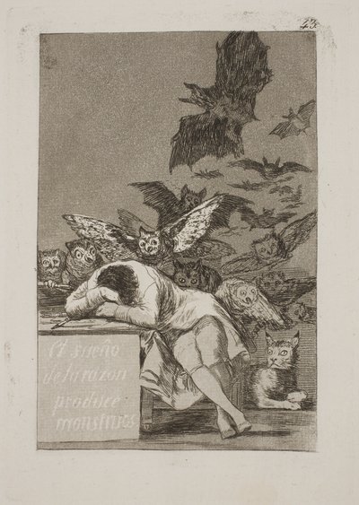 理性の眠りが怪物を生む 作： Francisco de Goya