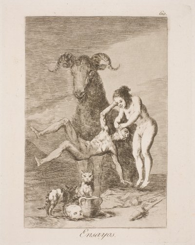 試み 作： Francisco de Goya