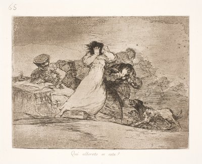 この混乱は何を意味するのでしょうか。 (65) 作： Francisco de Goya