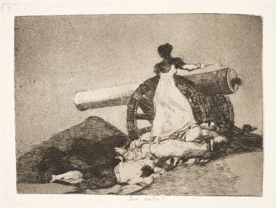 何というヒロイズム！ （7） 作： Francisco de Goya