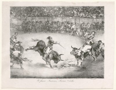  作： Francisco de Goya