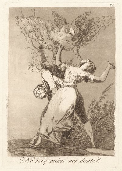 私たちを解く人はいませんか？ (誰にも解けない?) 作： Francisco de Goya