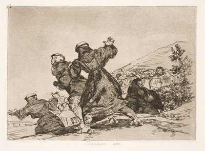 これも (43) 作： Francisco de Goya
