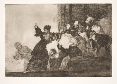 Measly Folly (2 つの頭は 1 つよりも優れている) 作： Francisco de Goya