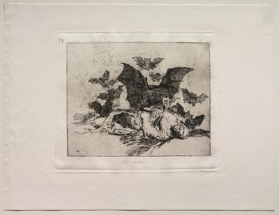 戦争の恐怖：結果。 作： Francisco de Goya