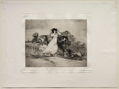 戦争の恐怖：このハバブは何ですか。 作： Francisco de Goya