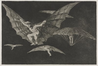 箴言：飛ぶ方法 作： Francisco de Goya