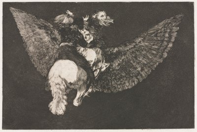 箴言：フライングフォリー 作： Francisco de Goya
