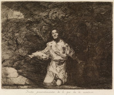  作： Francisco de Goya