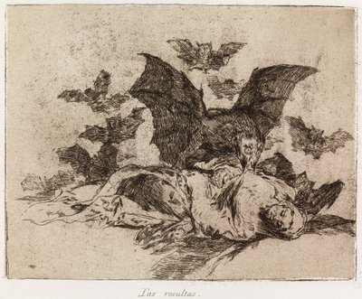  作： Francisco de Goya