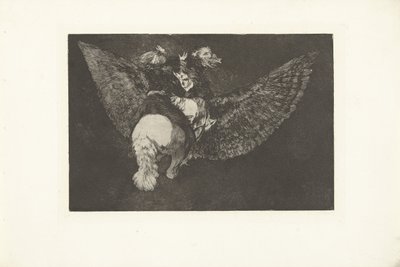 フライングフォリー 異なるボランテ Los Disparates (The follies) (シリーズタイトル) Los Proverbios (The Proverbs) (シリーズタイトル) 作： Francisco de Goya