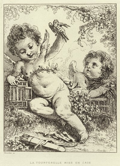 籠の中の鳩（エングレービング 作： Francois (after) Boucher