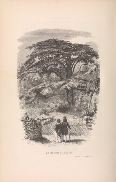 植物園、哺乳類の説明とマナー、1842。 作： Francois Boitard