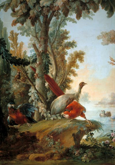 ヘロンとオウム フランソワ・ブーシェ（1703-1770）の絵画 作： François Boucher