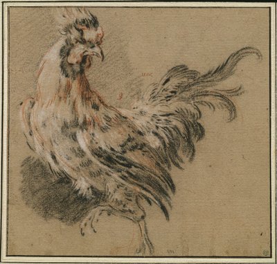 「雄鶏」の研究 作： François Boucher