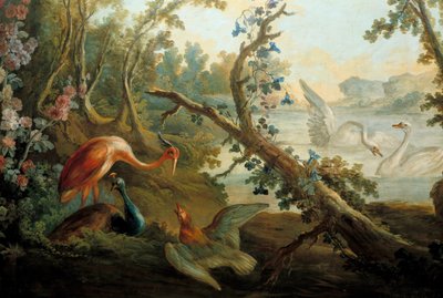 白鳥と孔雀 フランソワ・ブーシェ（1703-1770）の絵画 18世紀 パリ、カルナヴァレ美術館 作： François Boucher