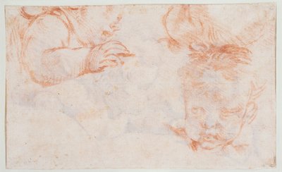 3人の少年の頭部。アマリエンボー宮殿の扉の装飾のための習作 作： François Boucher