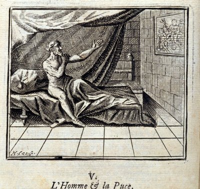 ジャン・ド・ラ・フォンテーヌ（1621-95）の寓話集。フランソワ・ショーボー（1613-1676）によるイラスト。1728年の版。 作： Francois Chauveau