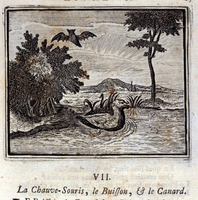 コウモリとブッシュとアヒル。ジャン・ド・ラ・フォンテーヌ（1621-95）の寓話。挿絵はフランソワ・ショーボー（1613-1676）。1728年の版。 作： Francois Chauveau