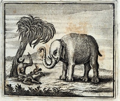 木星の象と猿。ジャン・ド・ラ・フォンテーヌ（1621-95）の寓話。挿絵はフランソワ・ショーボー（1613-1676）。1728年の版。 作： Francois Chauveau