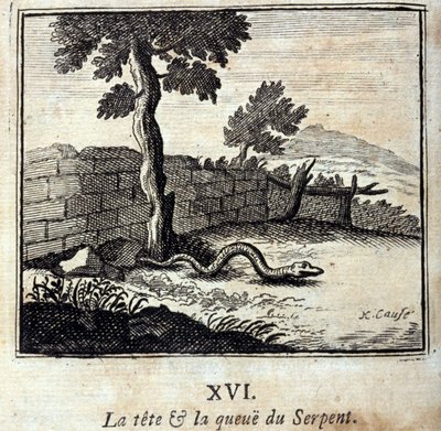 蛇の頭と尻尾。ジャン・ド・ラ・フォンテーヌ（1621-95）の寓話。挿絵はフランソワ・ショーボー（1613-1676）。1728年の版。 作： Francois Chauveau