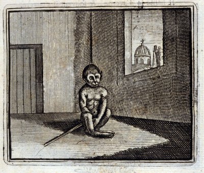 お猿さん。ジャン・ド・ラ・フォンテーヌ（1621-95）の寓話。挿絵はフランソワ・ショーボー（1613-1676）。1728年の版。 作： Francois Chauveau