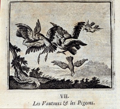ハゲタカとハト。ジャン・ド・ラ・フォンテーヌ（1621-95）の寓話集。フランソワ・ショーボー（1613-1676）によるイラスト。1728年の版。 作： Francois Chauveau