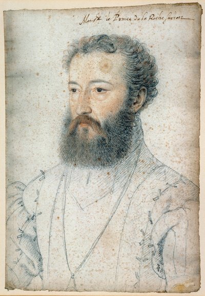ラ・ロッシュ・シュル・ヨン公シャルル・ド・ブルボン（1515-1565）の肖像。クルエ・フランソワ（1515-1572）による血と黒い石のドローイング 作： François Clouet