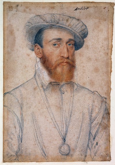 アンデローの領主フランソワ・ド・コリニー（1521 - 1569年）の肖像。クルエ・フランソワ（1515-1572）による血と黒い石のドローイング 作： François Clouet