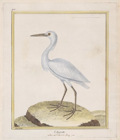 白鷺 白鷺、1770-86。 作： Francois Nicolas Martinet