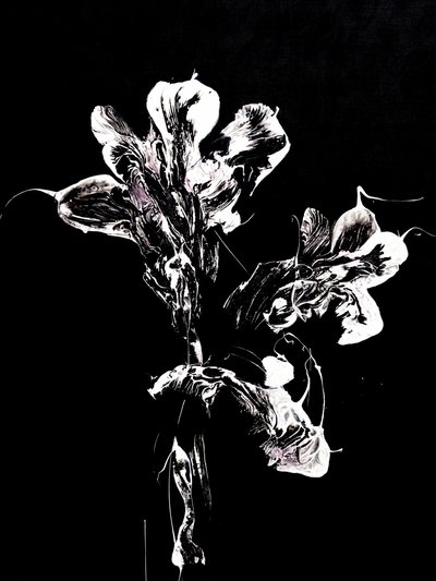 流麗な闇の花 作： Françoise Wattré