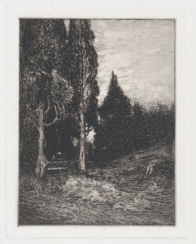 風景、カリフォルニア州。 1880～91年。 作： Frank Anderson